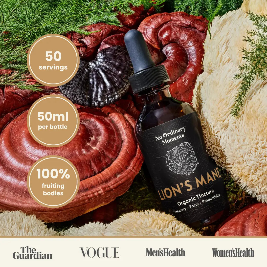 Mushroom Tinctures