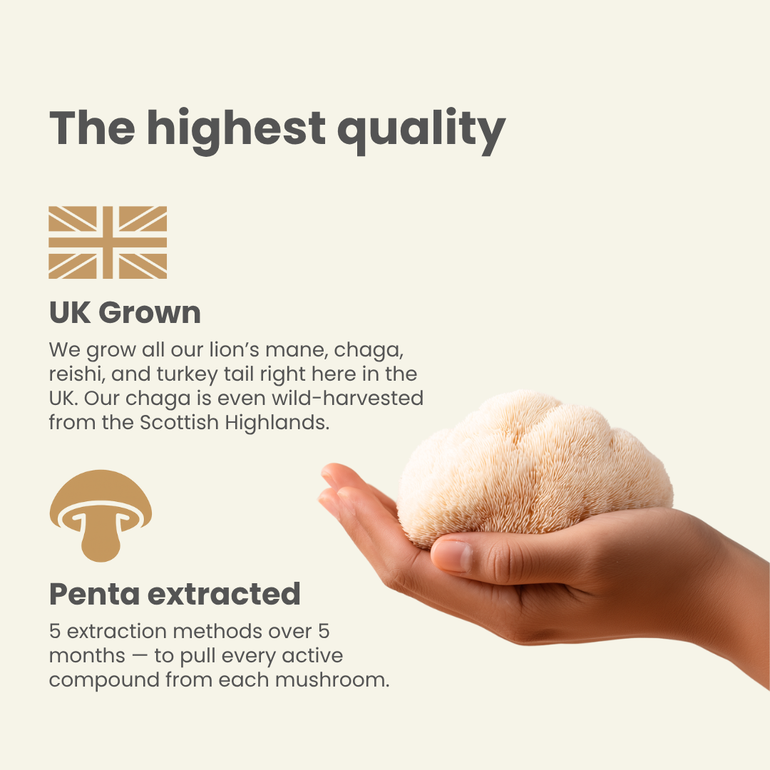 Mushroom Tinctures