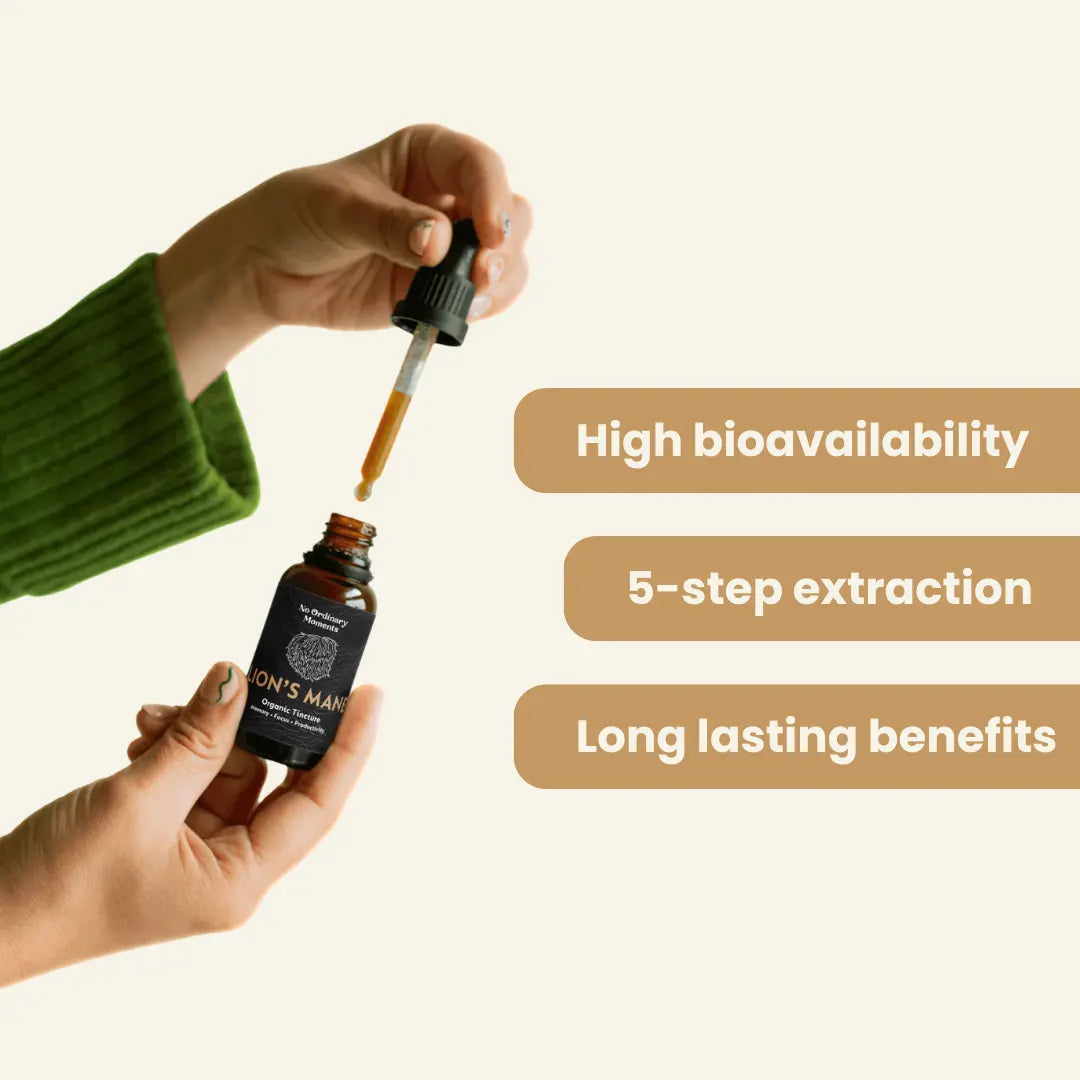 Mushroom Tinctures