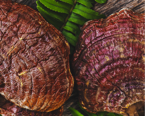 Boost your Mood with Reishi Mushrooms - No Ordinary Moments Nutrition 