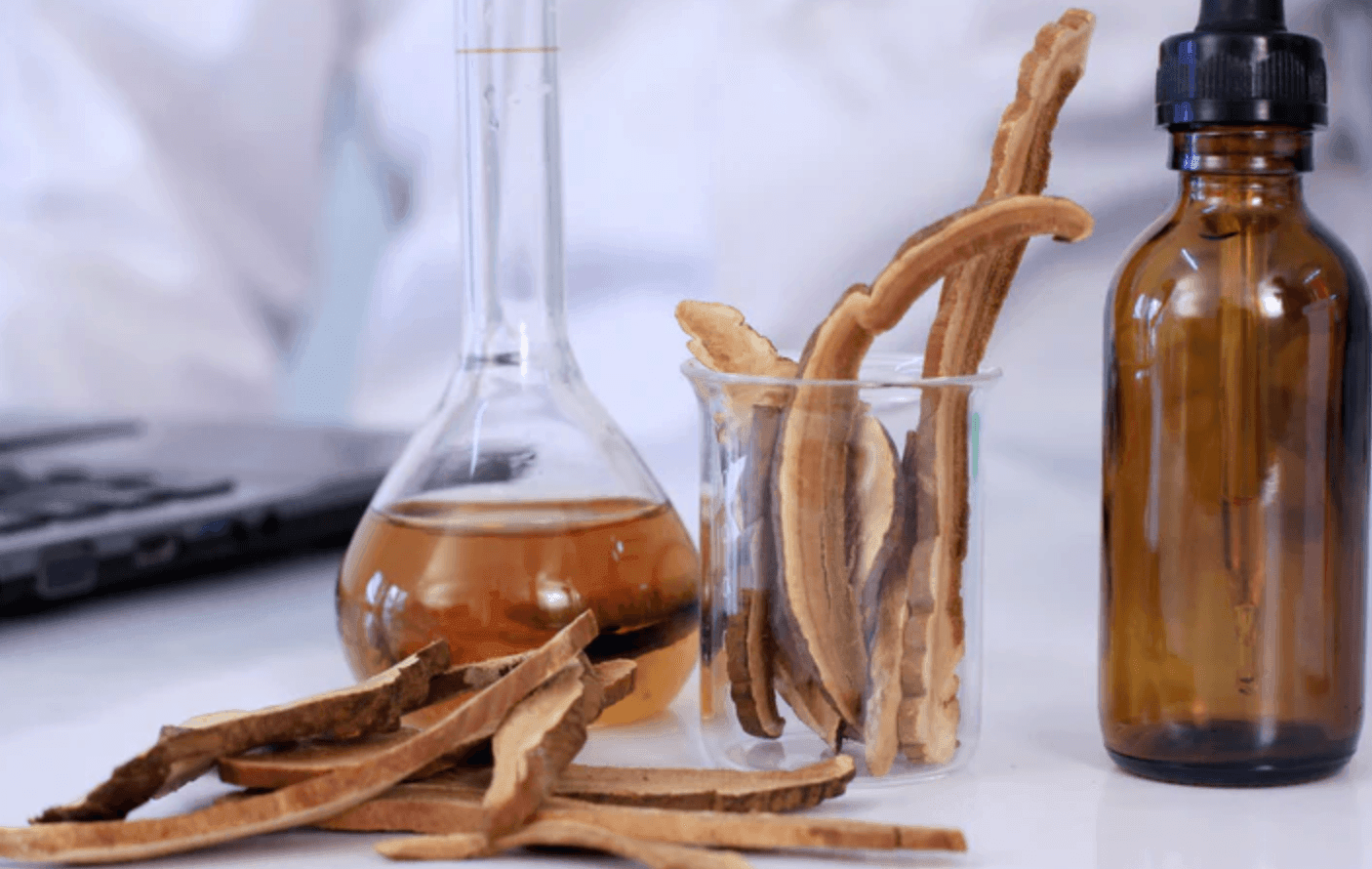 What is the Difference and Benefits of Mushroom Tinctures vs Mushroom Powder? - No Ordinary Moments