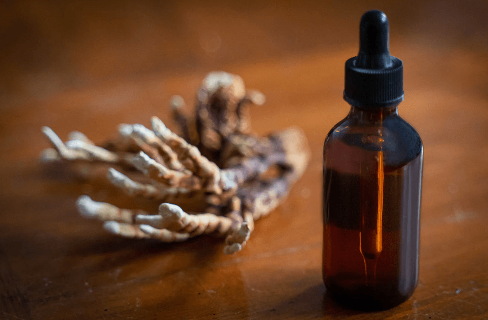 What Are The Benefits of Reishi Mushroom Tinctures? - No Ordinary Moments