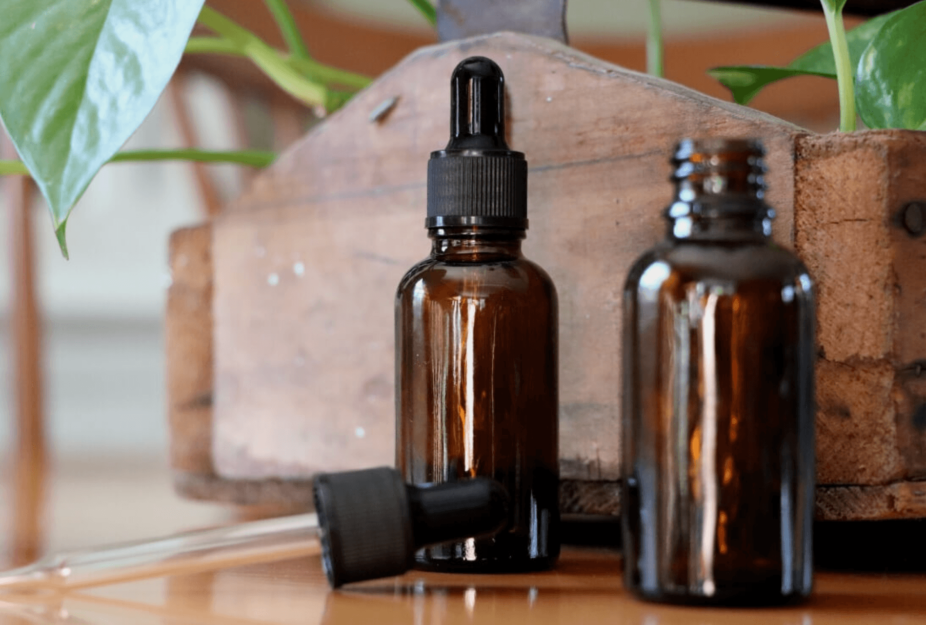 Are Mushroom Tinctures Effective? - No Ordinary Moments