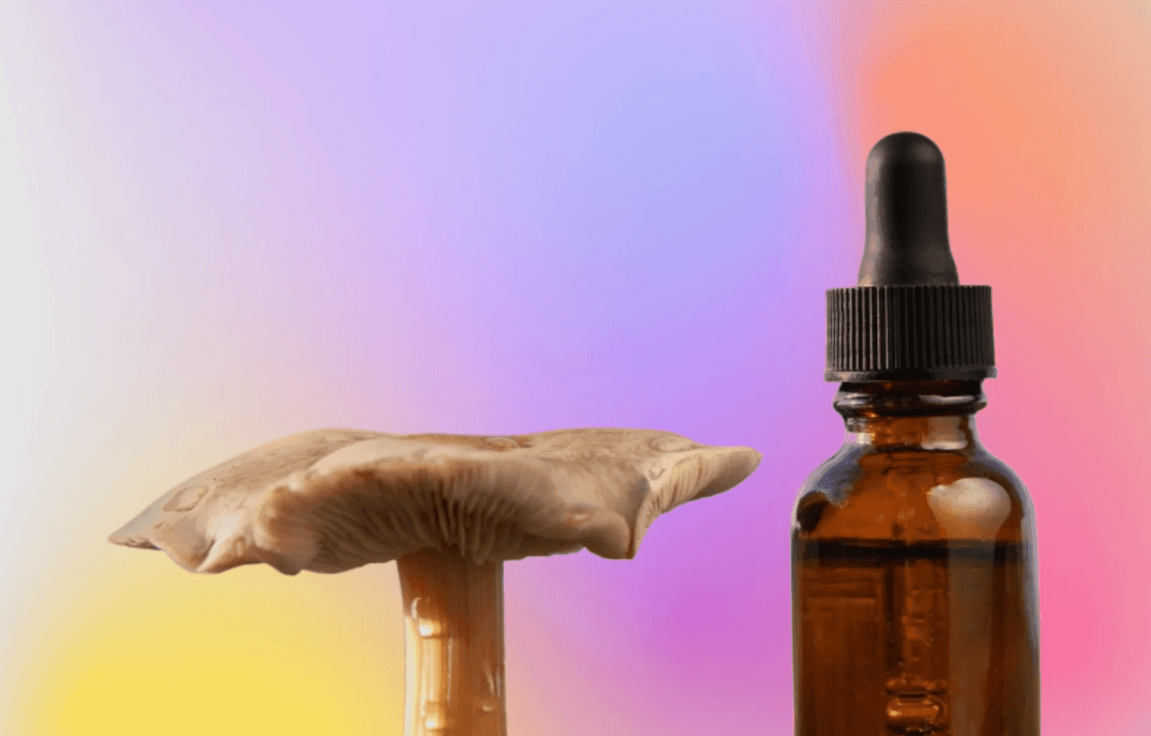 flat mushroom next to a blank tincture bottle on a multicoloured background 