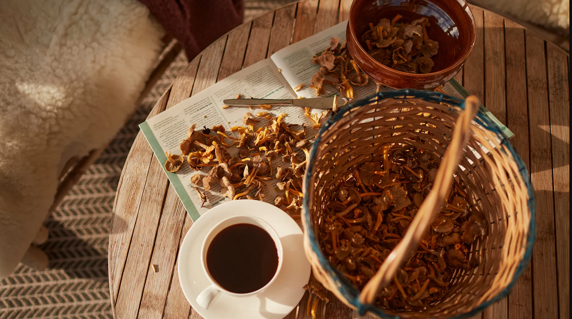 The Rise of Mushroom Coffee: Why It's Becoming a Morning Staple