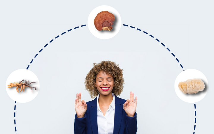 Mushrooms and Mental Health: How Fungi Can Boost Your Mood