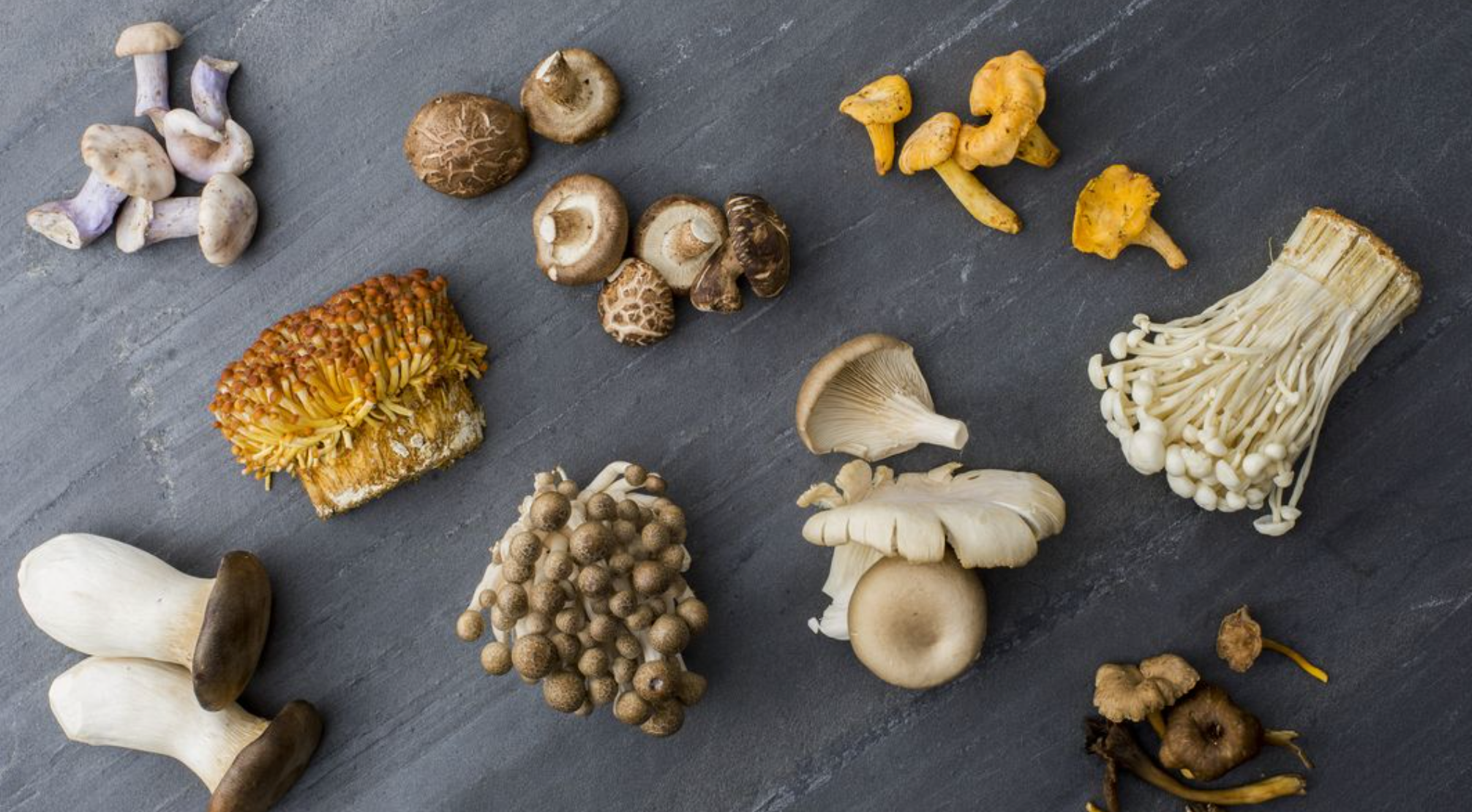 Elevate Your Cooking: Incorporating Edible Mushrooms in Everyday Dishes
