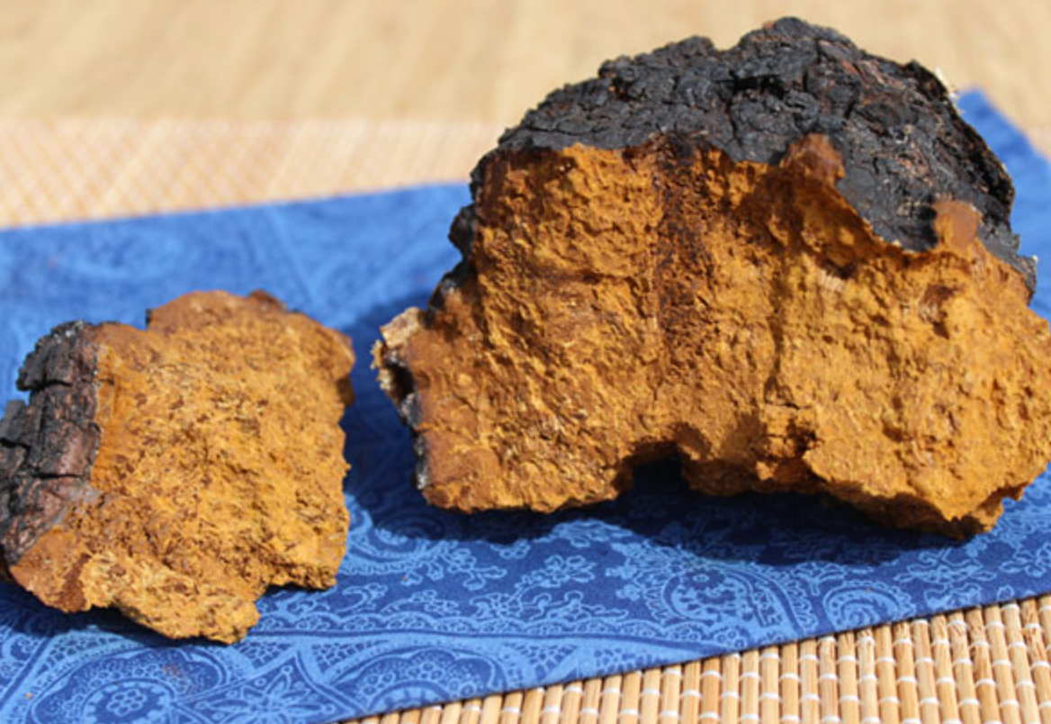 Chaga Chronicles: A Wellness Journey to Combat Daily Stress
