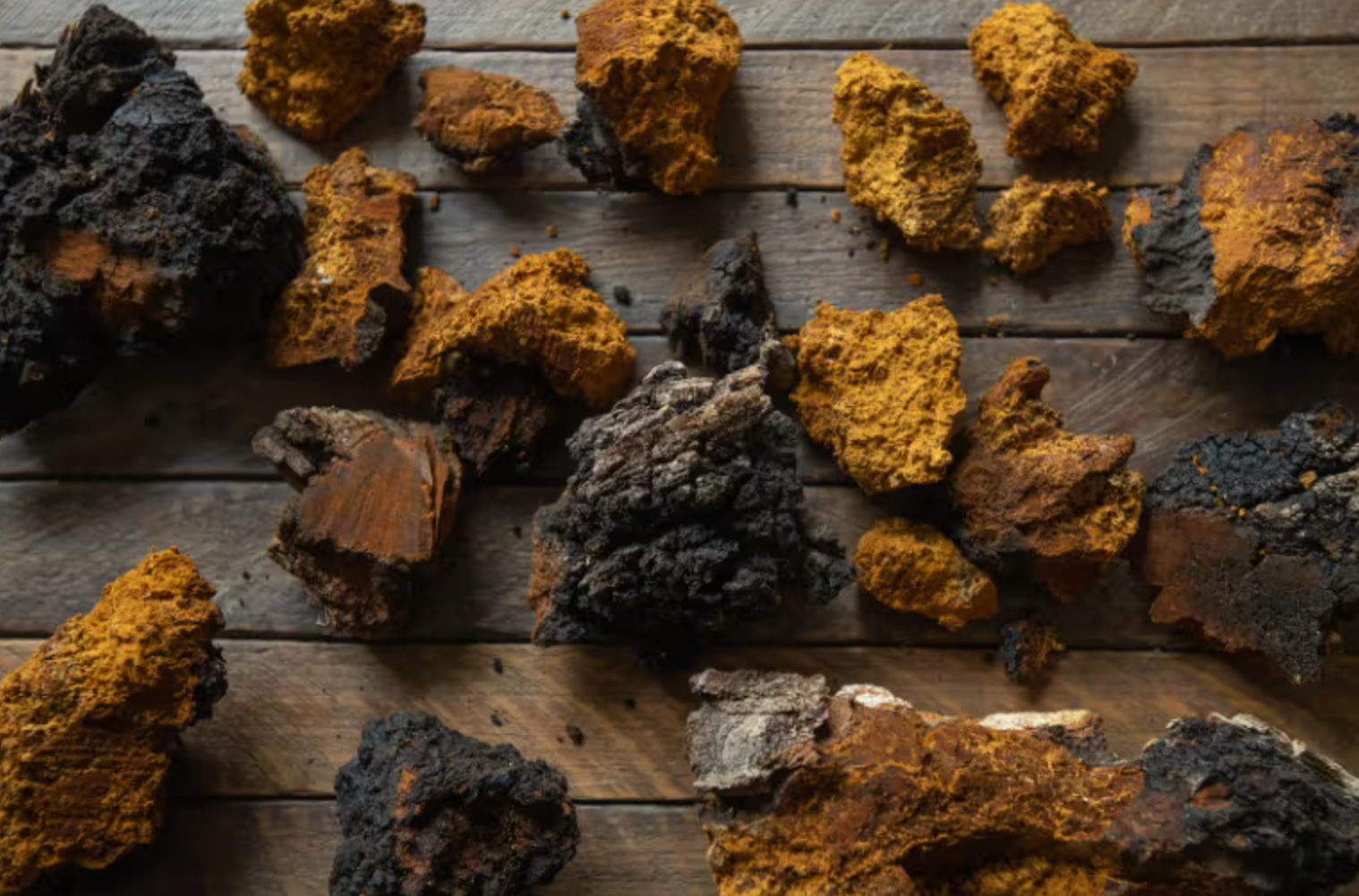 Harnessing the Power: Can I Take Chaga Every Day?