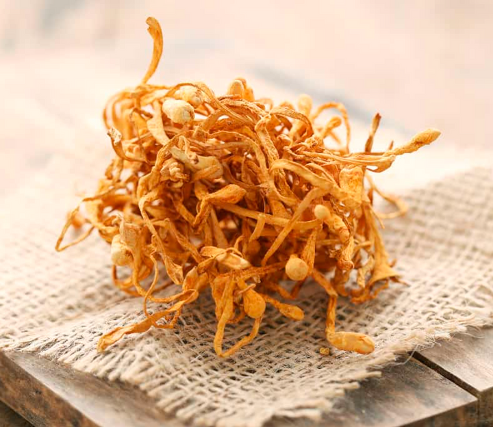 Harnessing the Power: Can I Take Cordyceps Every Day?