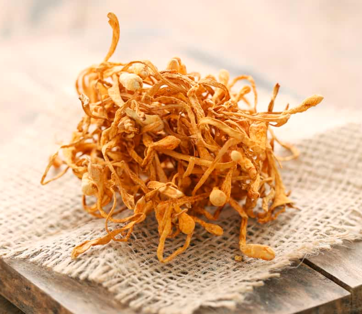 Harnessing the Power: Can I Take Cordyceps Every Day?