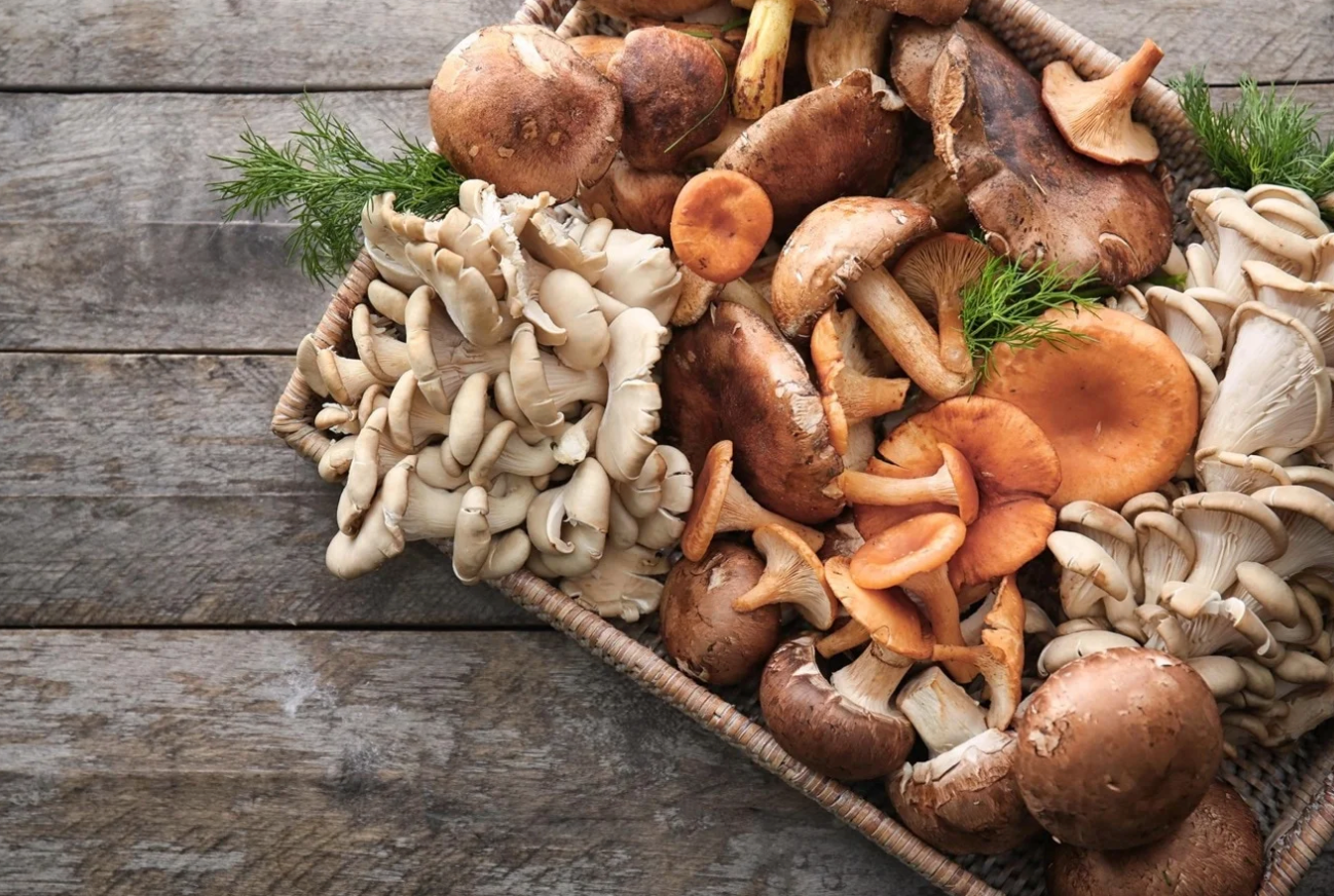 Integrating Medicinal Mushrooms into Your Daily Diet