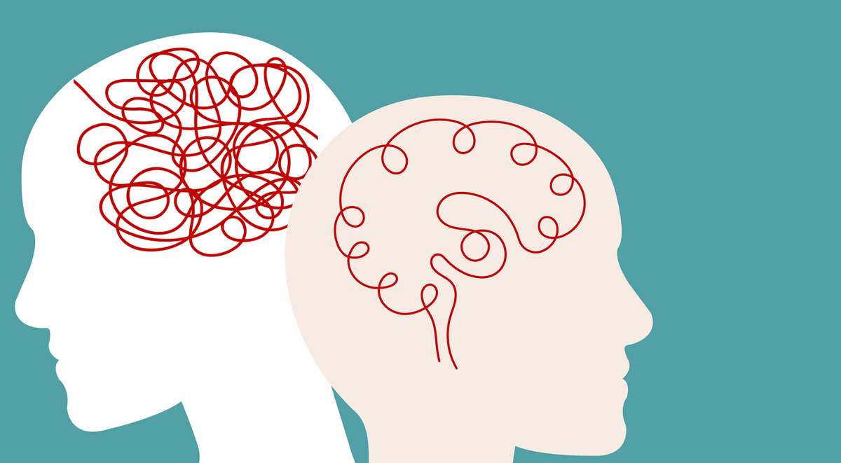 The Mental Health Benefits of Lion's Mane and Reishi Mushrooms
