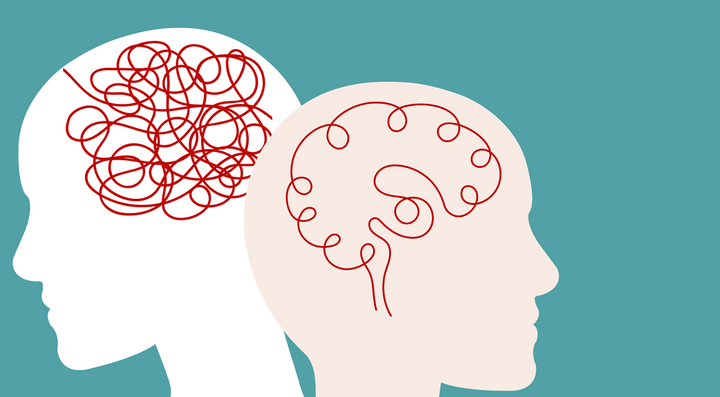 The Mental Health Benefits of Lion's Mane and Reishi Mushrooms