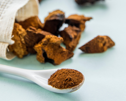 Boost your Immune System with Chaga Mushrooms - No Ordinary Moments Nutrition 