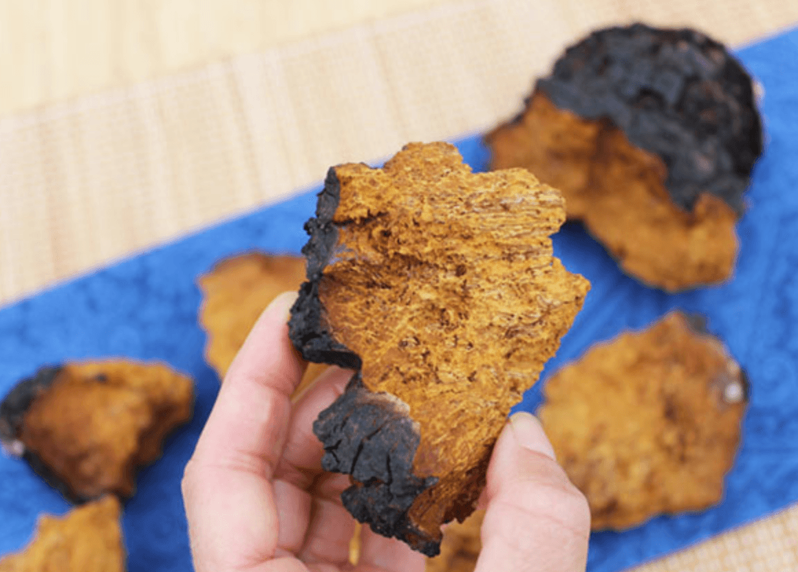 8 Benefits of adding Chaga into your Coffee  - No Ordinary Moments