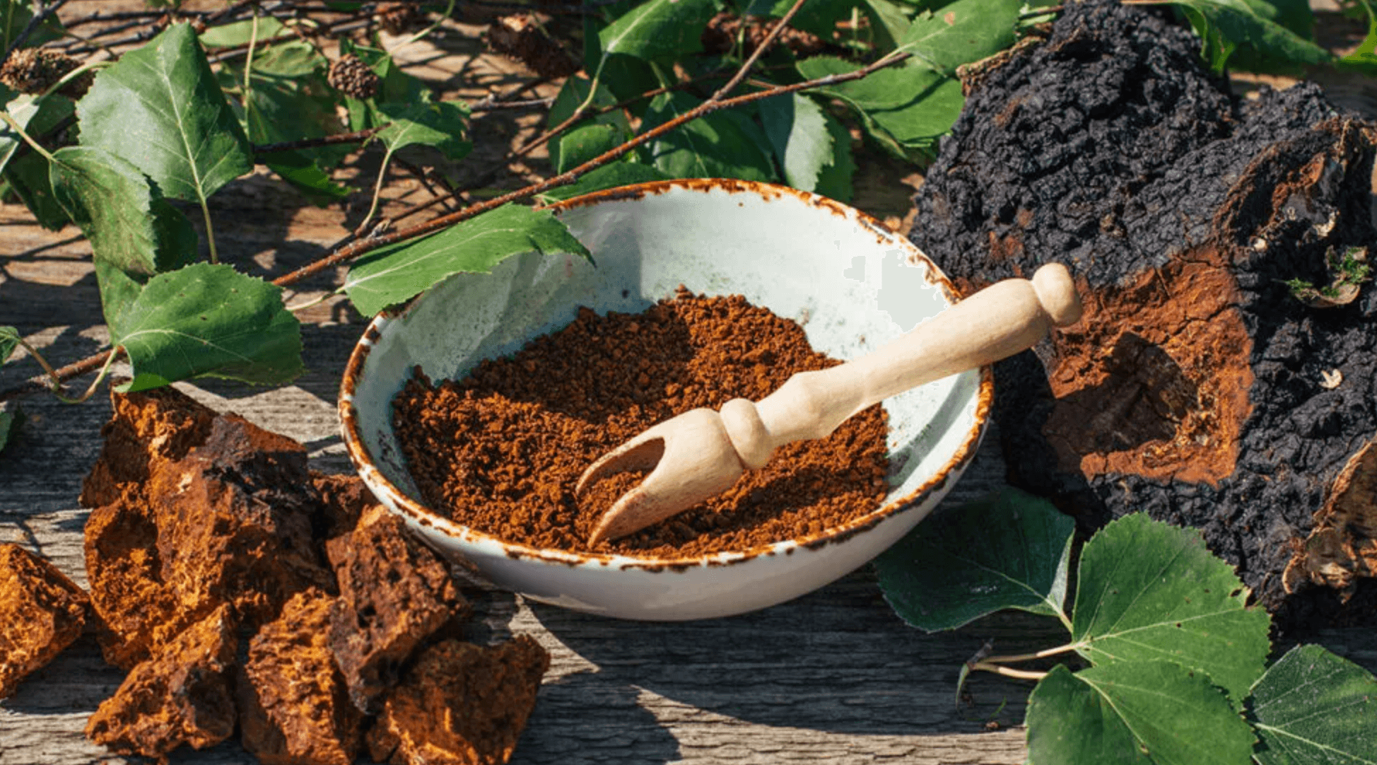 A mushroom power in a bowl amidst green leaves 