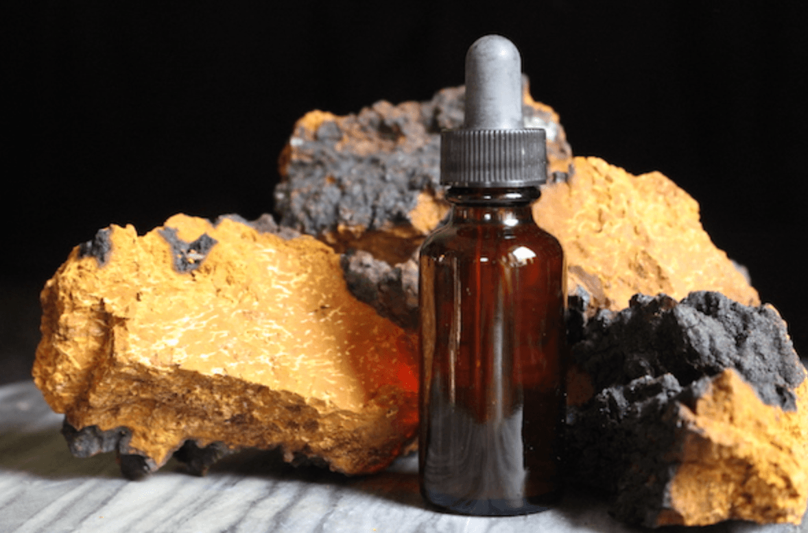 What Are The Benefits of Chaga Mushroom Tinctures? - No Ordinary Moments