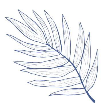 Botanical leaf illustration